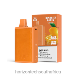 HorizonTech Disposable Vape - HorizonTech Binaries Cabin Disposable 20mL Orange P28VT63