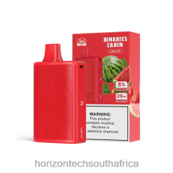 Horizon Tech Company - HorizonTech Binaries Cabin Disposable 20mL Lush Ice P28VT59